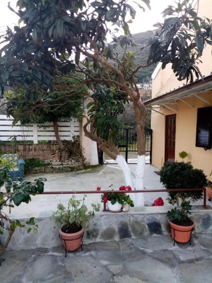 Mitsani Country House Agios Matthaios  Exterior photo