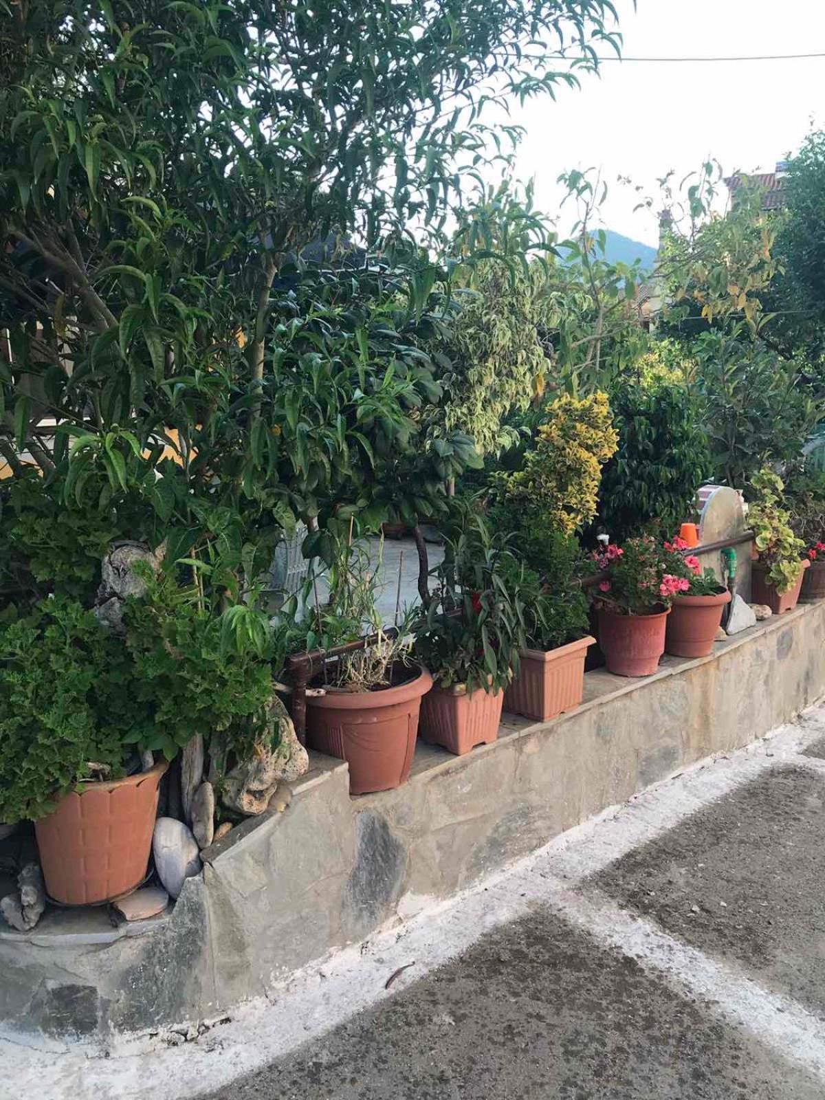 Mitsani Country House Agios Matthaios  Exterior photo