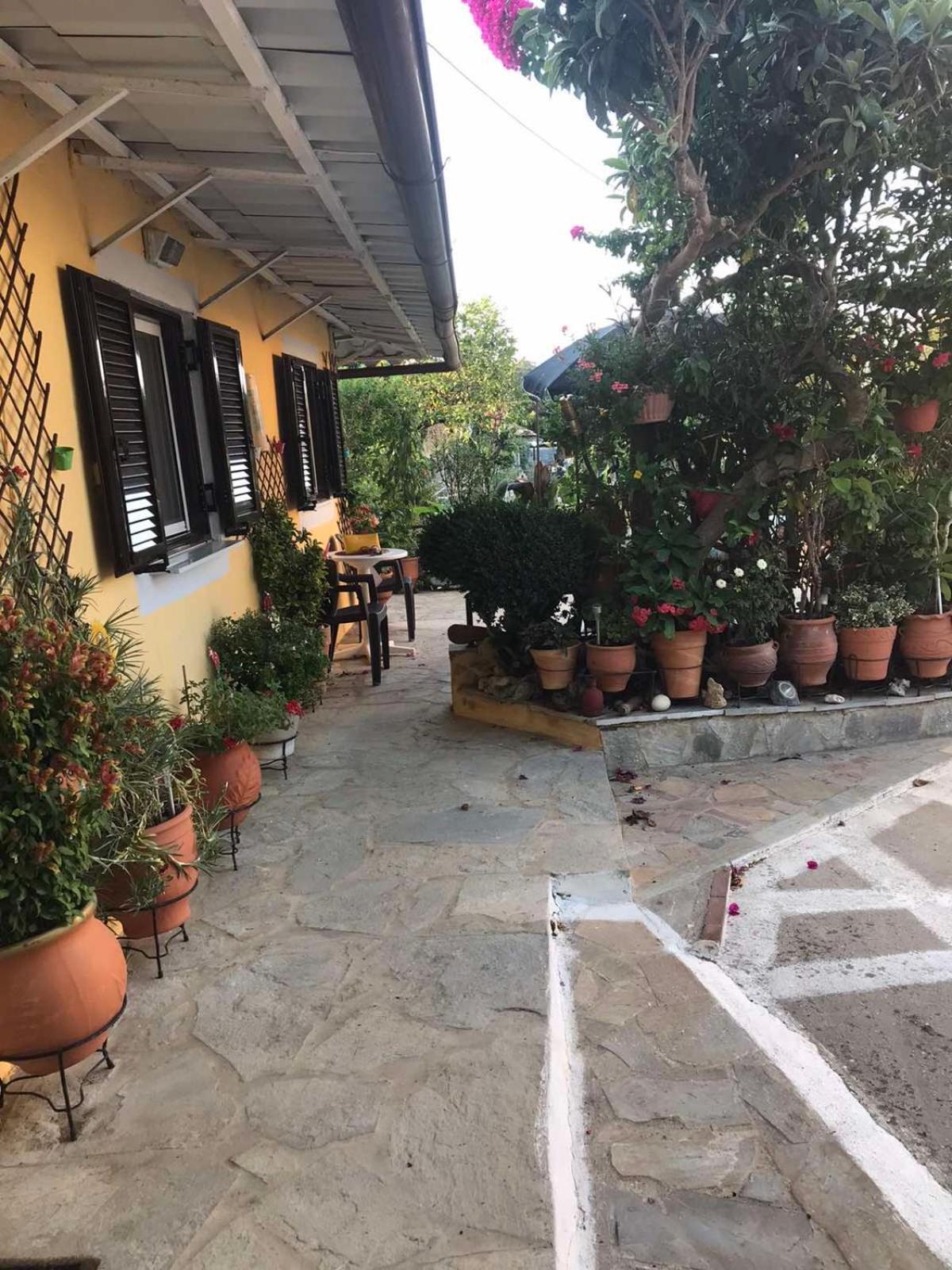 Mitsani Country House Agios Matthaios  Exterior photo