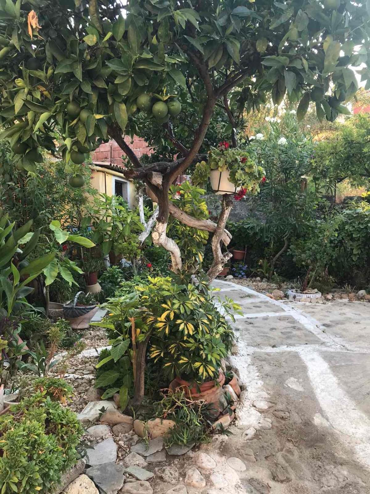 Mitsani Country House Agios Matthaios  Exterior photo
